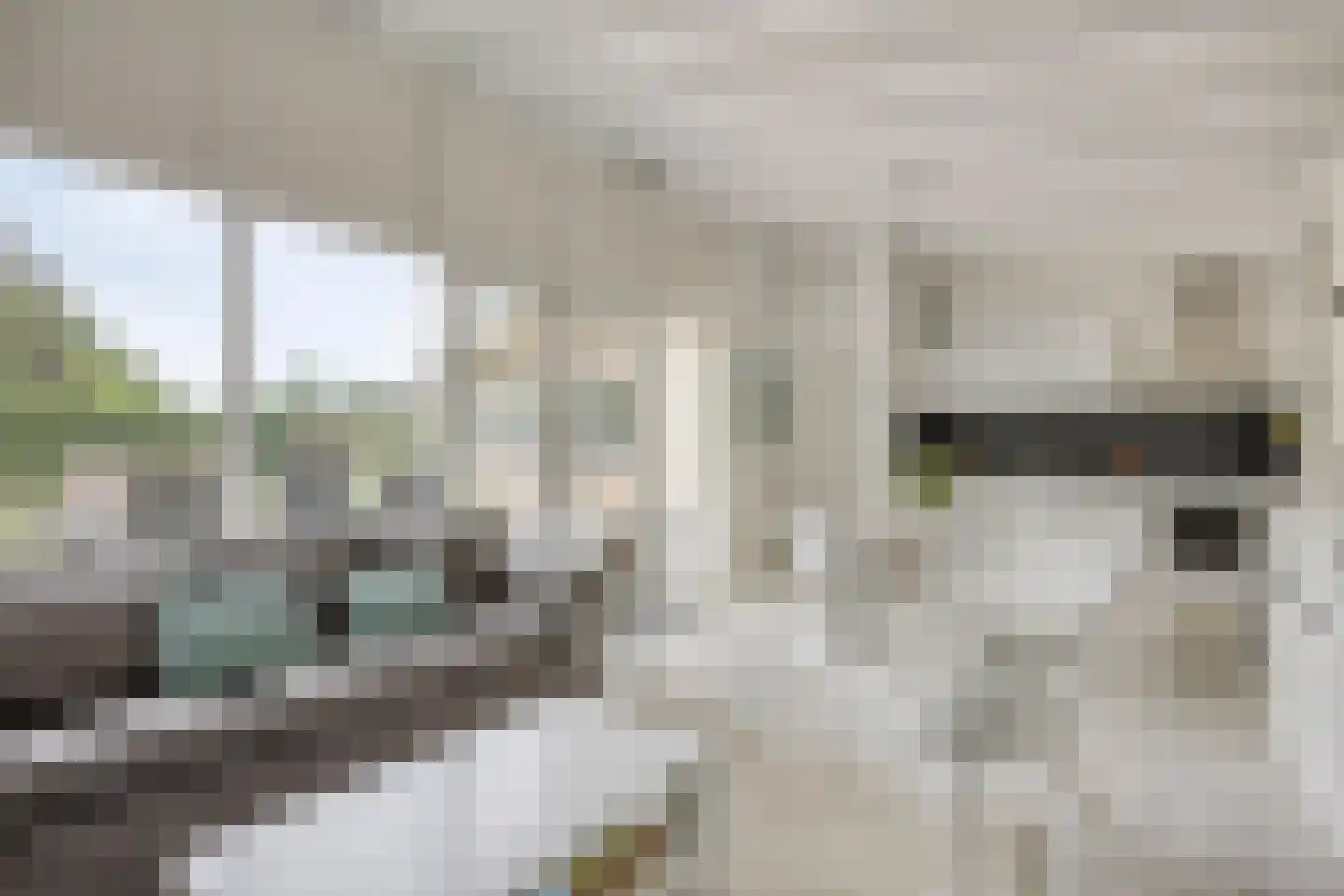 Joossesweg 181 Westkapelle thumbnail 17