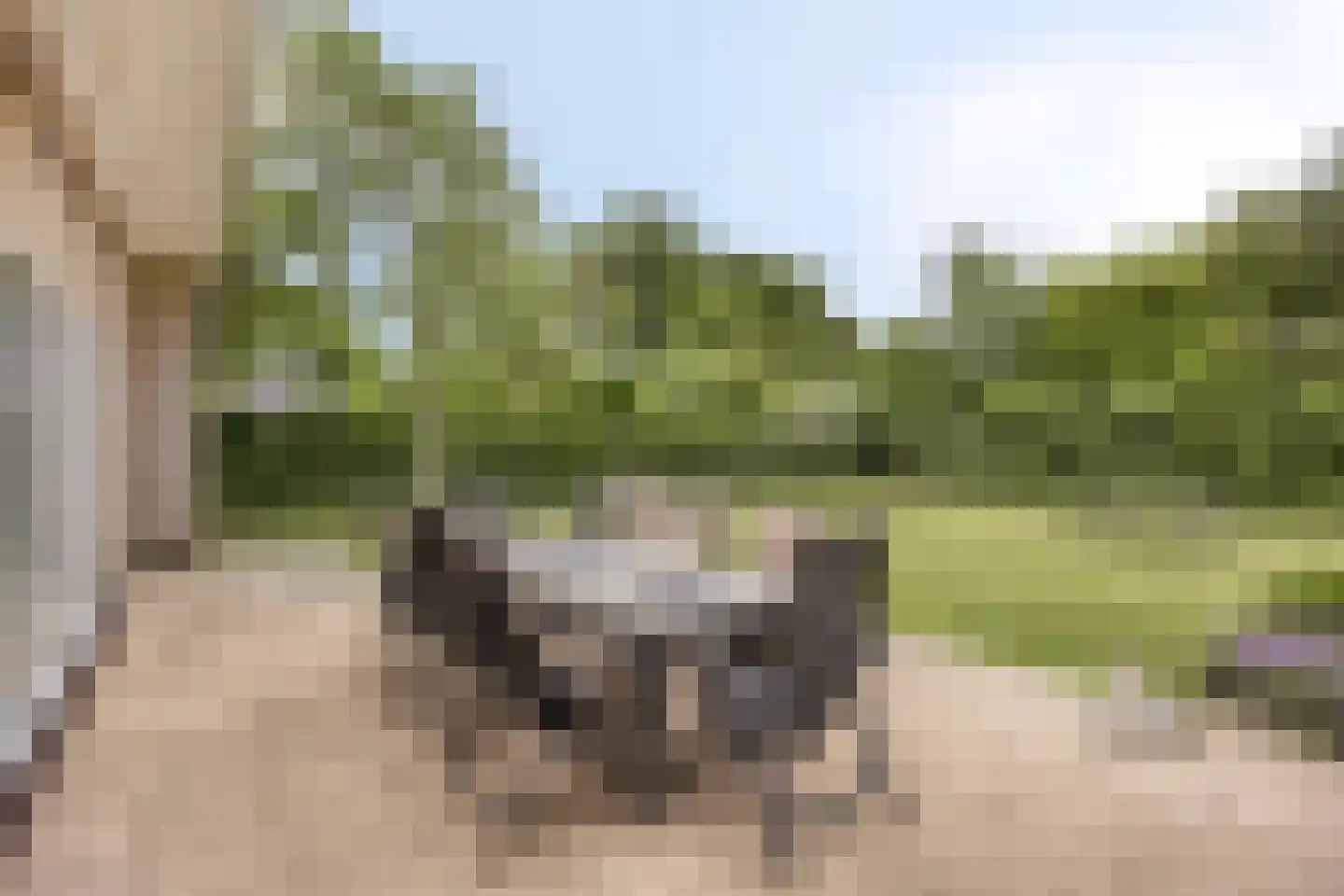 Joossesweg 181 Westkapelle thumbnail 18
