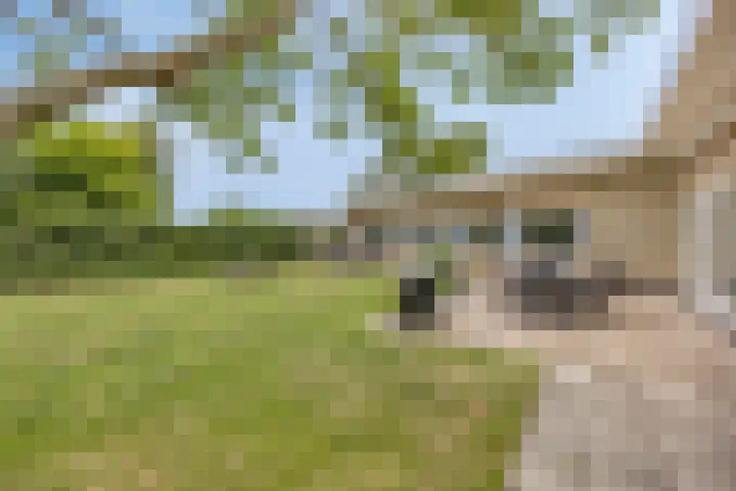 Joossesweg 181 Westkapelle thumbnail 19