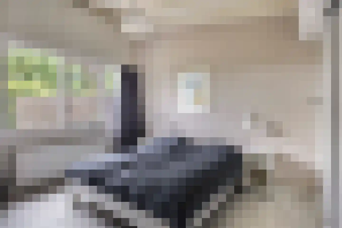 Joossesweg 181 Westkapelle thumbnail 31