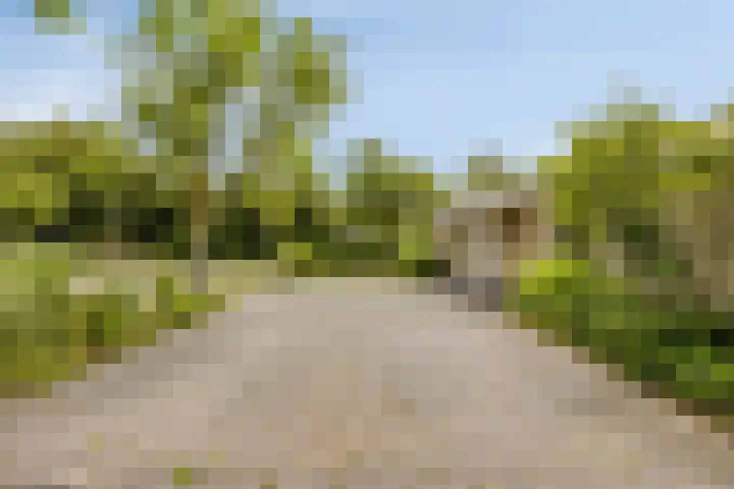 Joossesweg 181 Westkapelle thumbnail 8