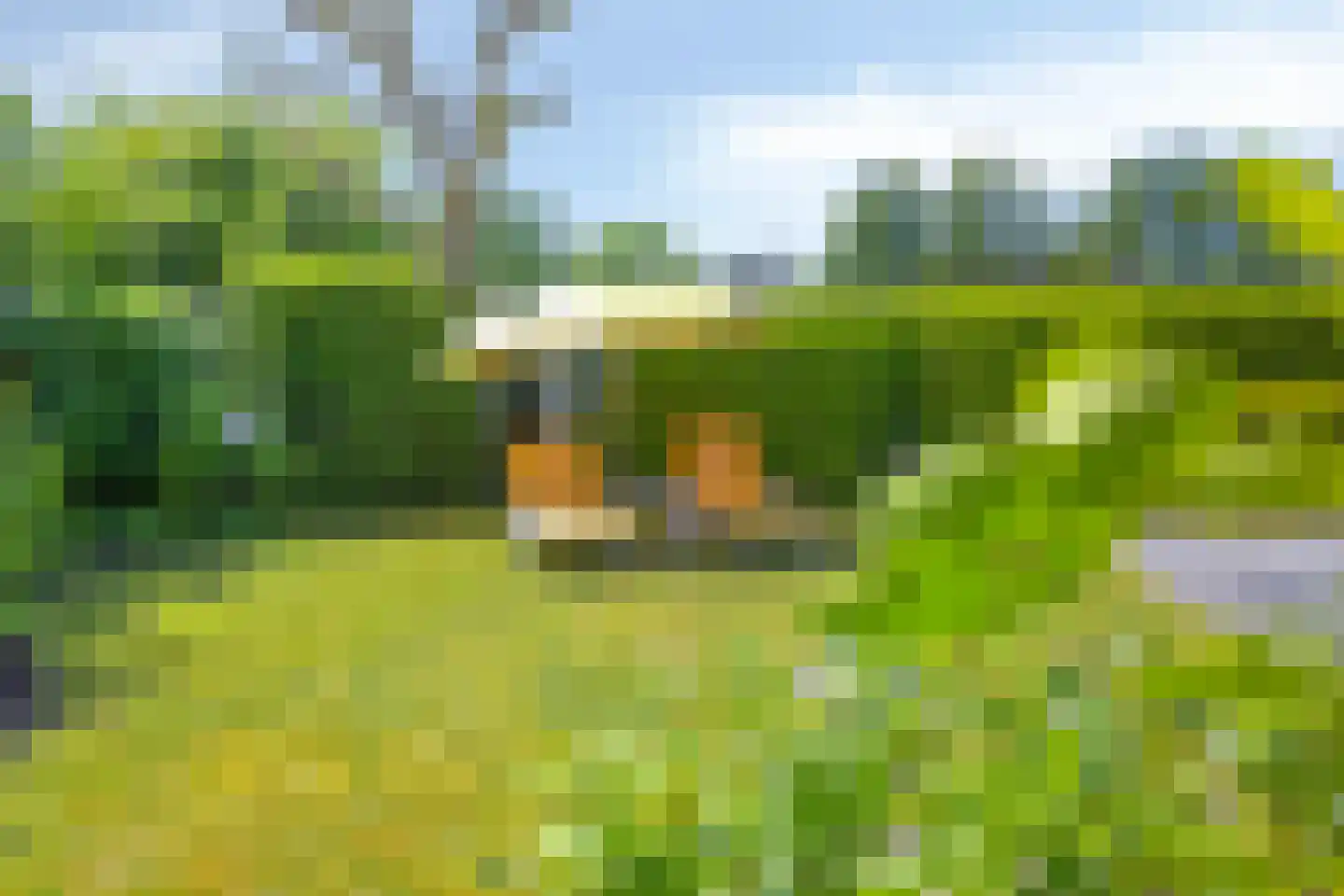 Joossesweg 207 Westkapelle thumbnail 25