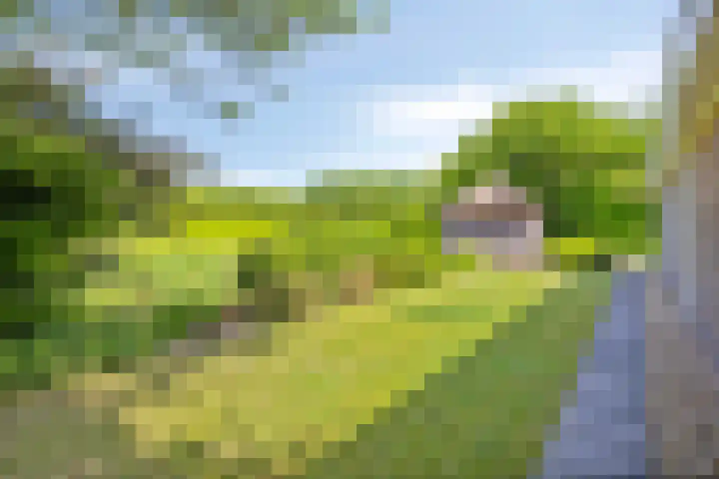 Joossesweg 207 Westkapelle thumbnail 28