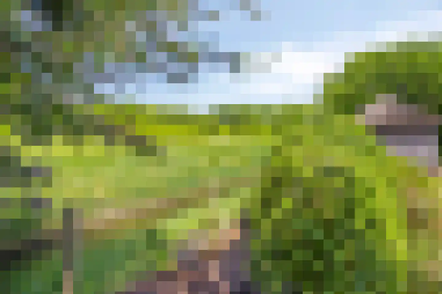 Joossesweg 207 Westkapelle thumbnail 29