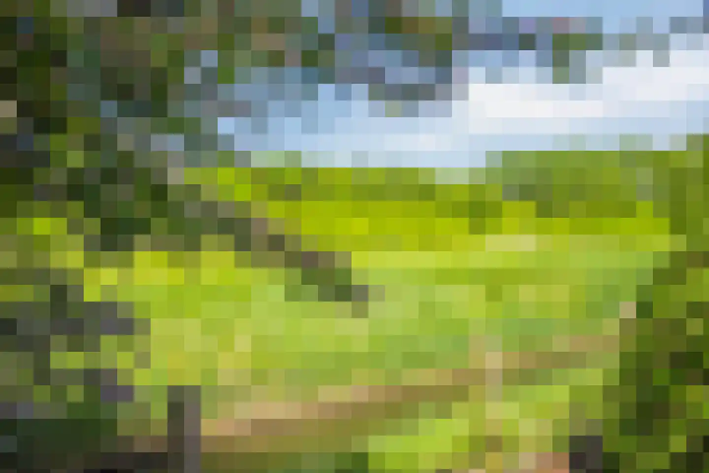 Joossesweg 207 Westkapelle thumbnail 30