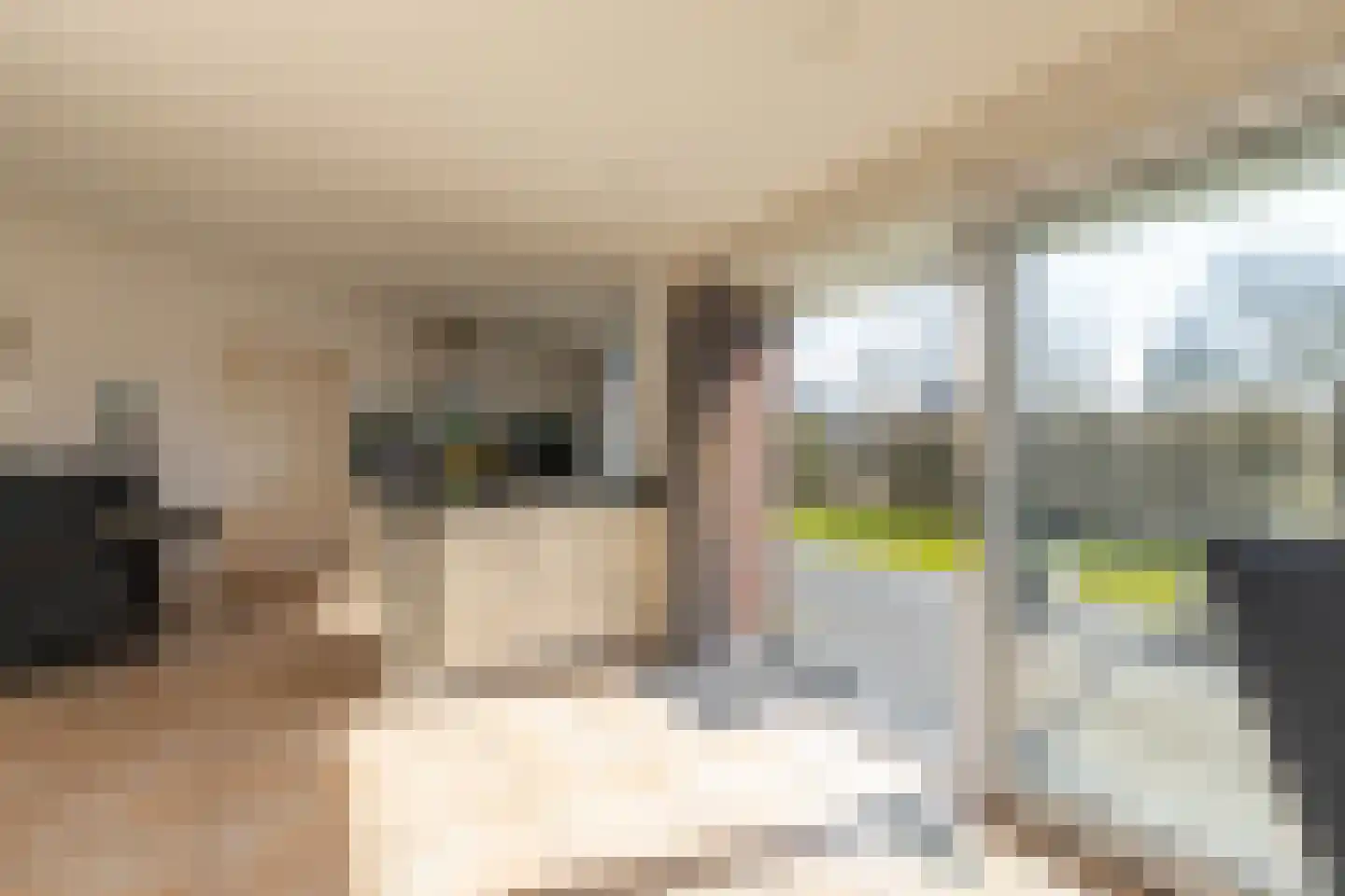 Joossesweg 208 Westkapelle thumbnail 13