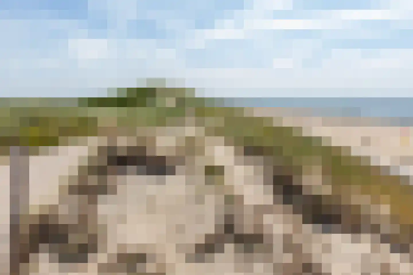Joossesweg 208 Westkapelle thumbnail 40