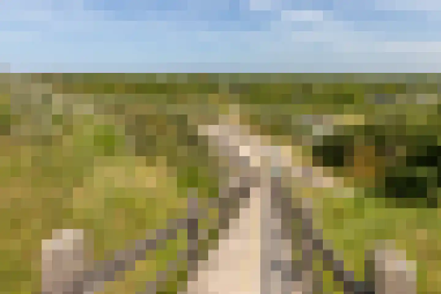 Joossesweg 208 Westkapelle thumbnail 42
