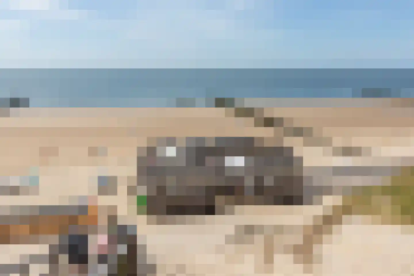 Joossesweg 208 Westkapelle thumbnail 8