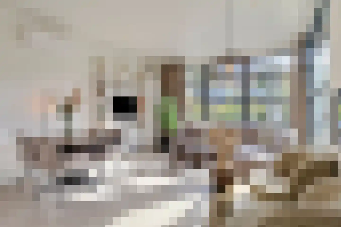 Joossesweg 3 22 Westkapelle thumbnail 10