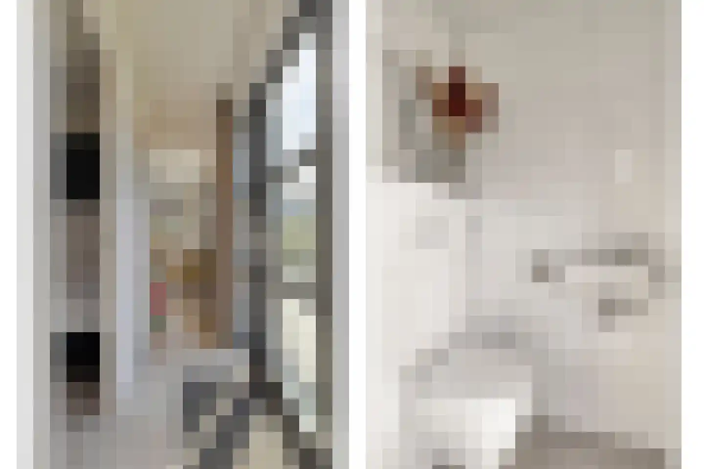Joossesweg 3 22 Westkapelle thumbnail 16