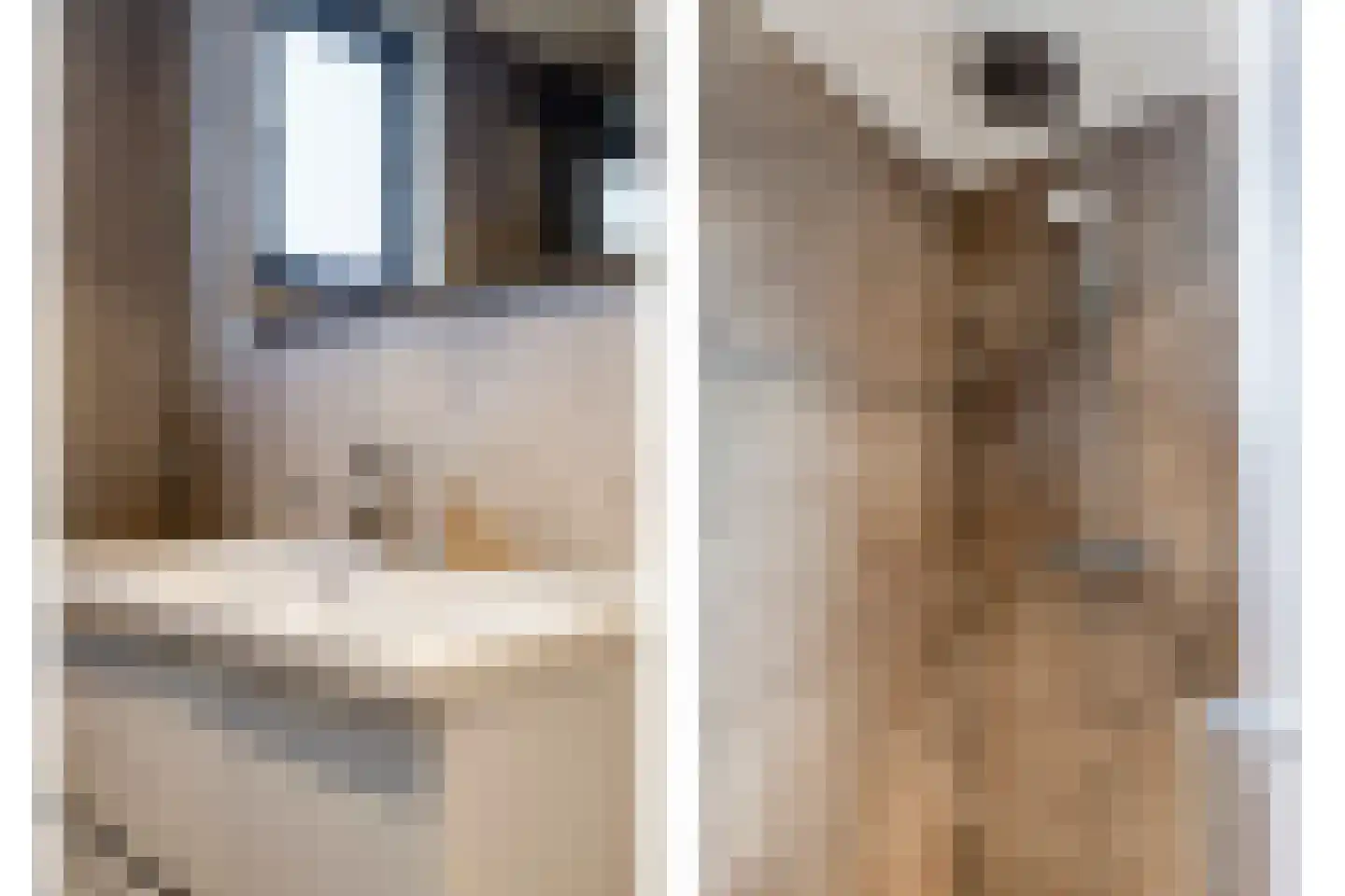 Joossesweg 3 22 Westkapelle thumbnail 18