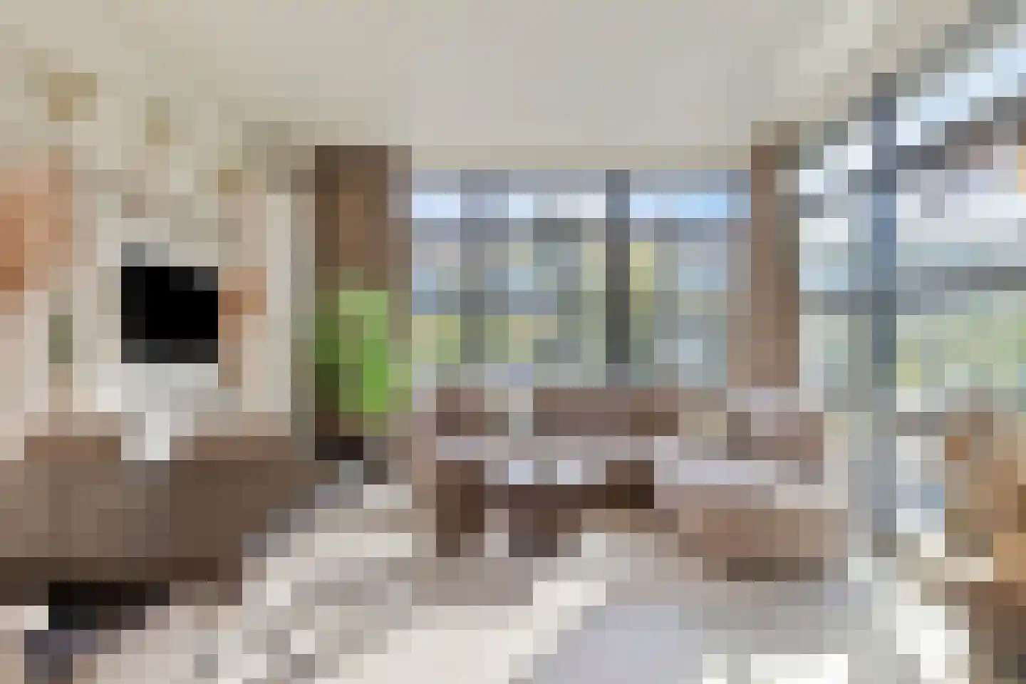 Joossesweg 3 22 Westkapelle thumbnail 9