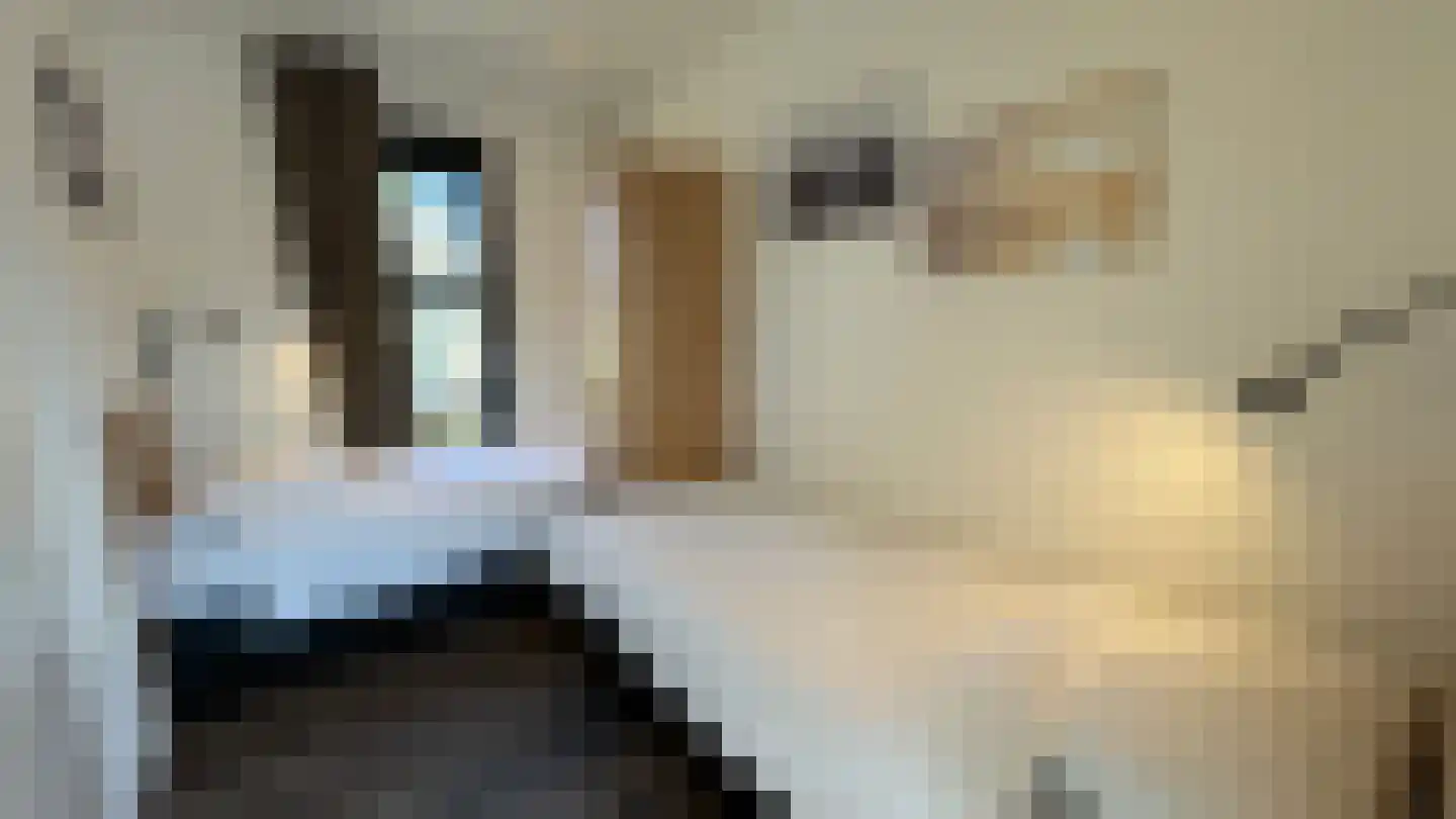 Joossesweg 3 36 Westkapelle thumbnail 11