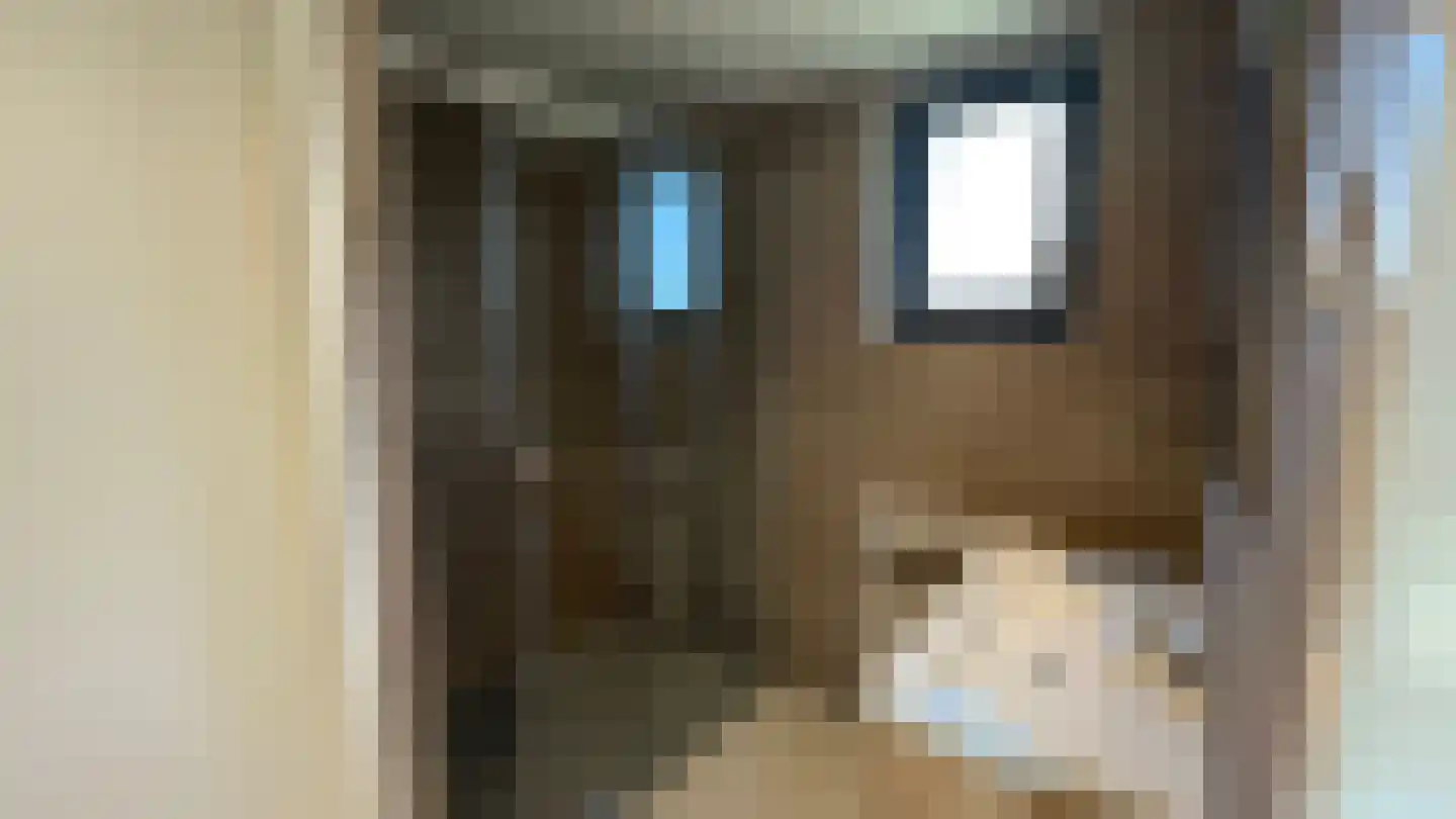 Joossesweg 3 36 Westkapelle thumbnail 12