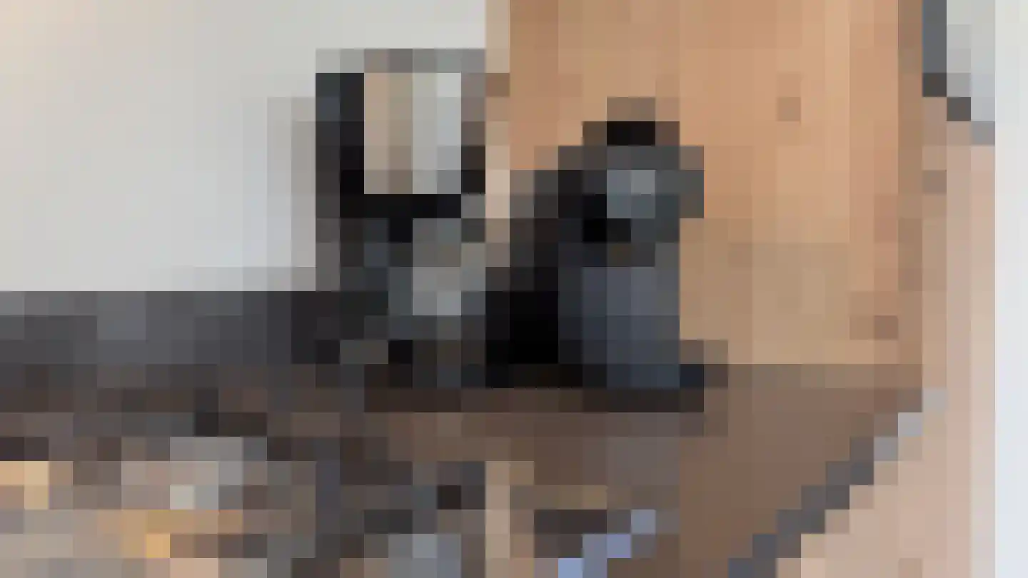 Joossesweg 3 36 Westkapelle thumbnail 9