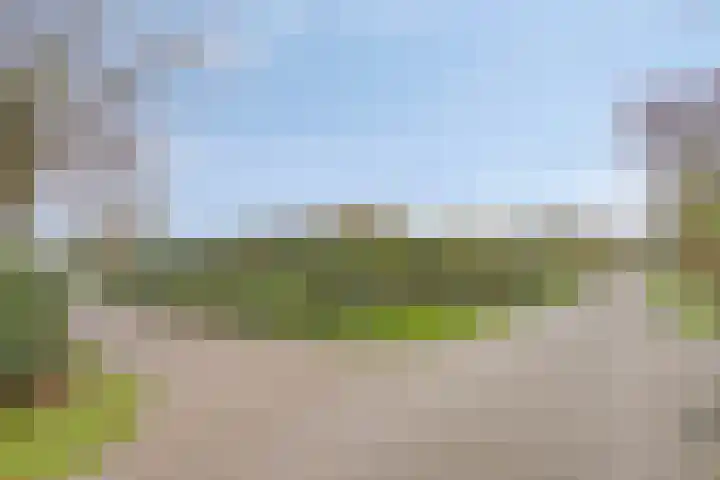 Joossesweg 57 Westkapelle thumbnail 5