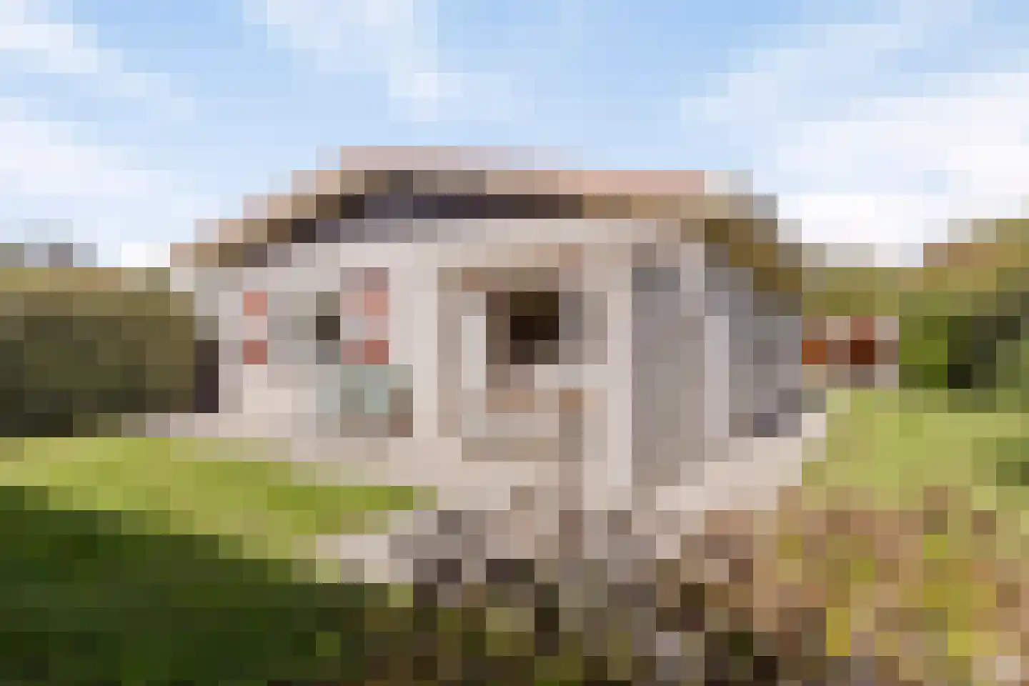 Joossesweg 75 A Westkapelle thumbnail 39