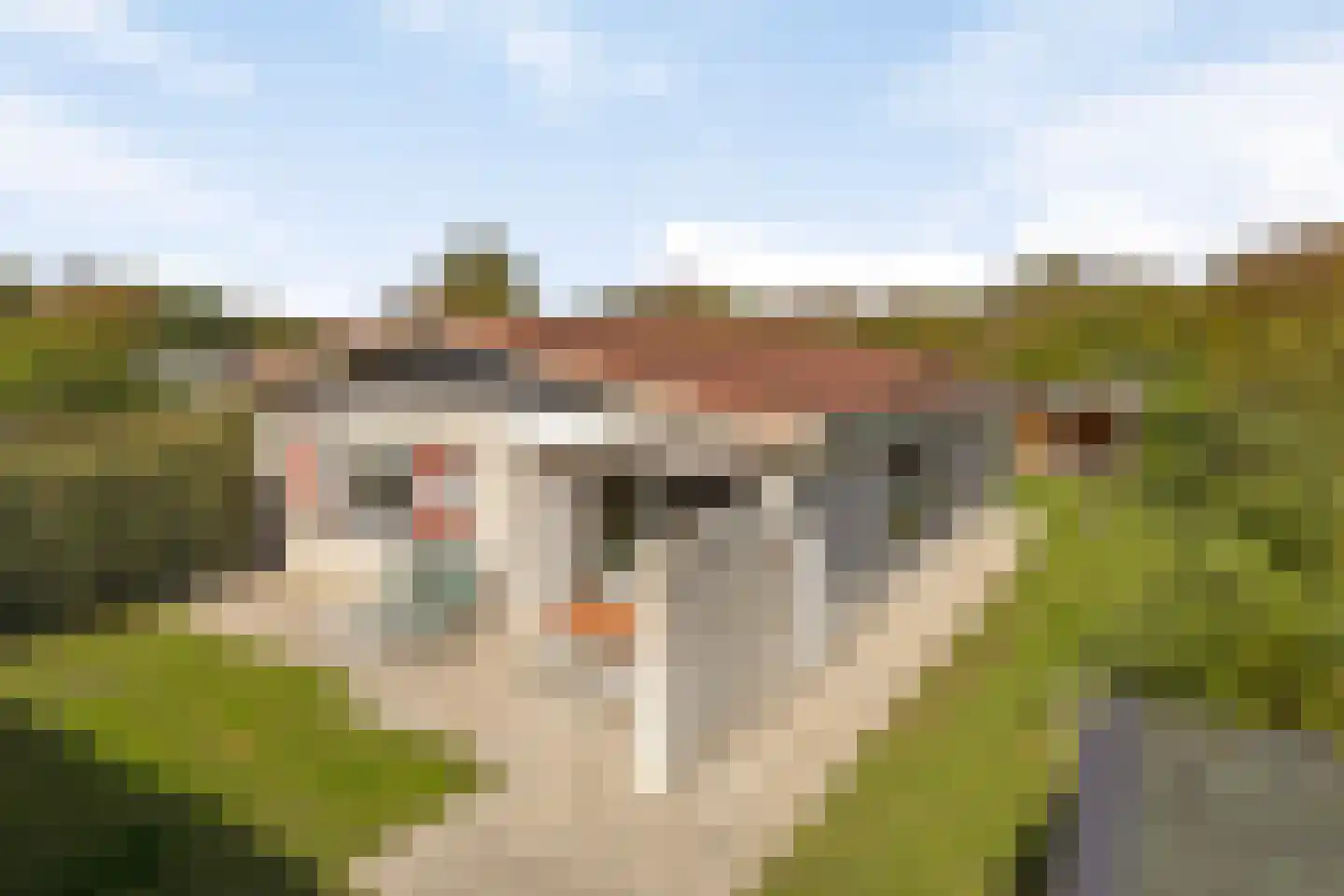 Joossesweg 75 A Westkapelle thumbnail 40