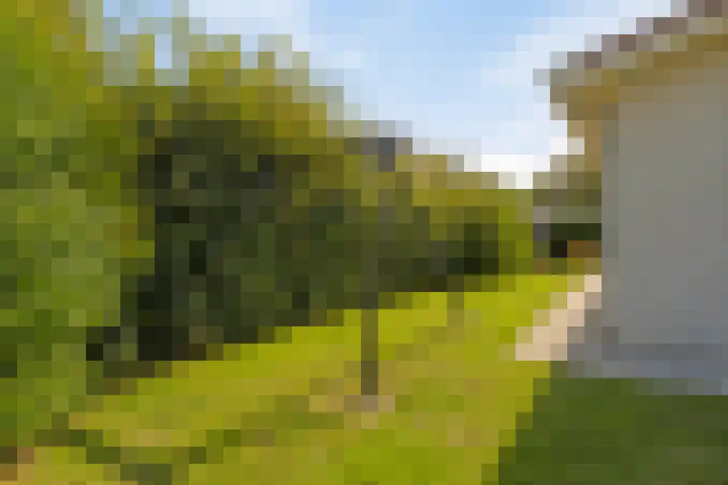 Joossesweg 75 A Westkapelle thumbnail 42
