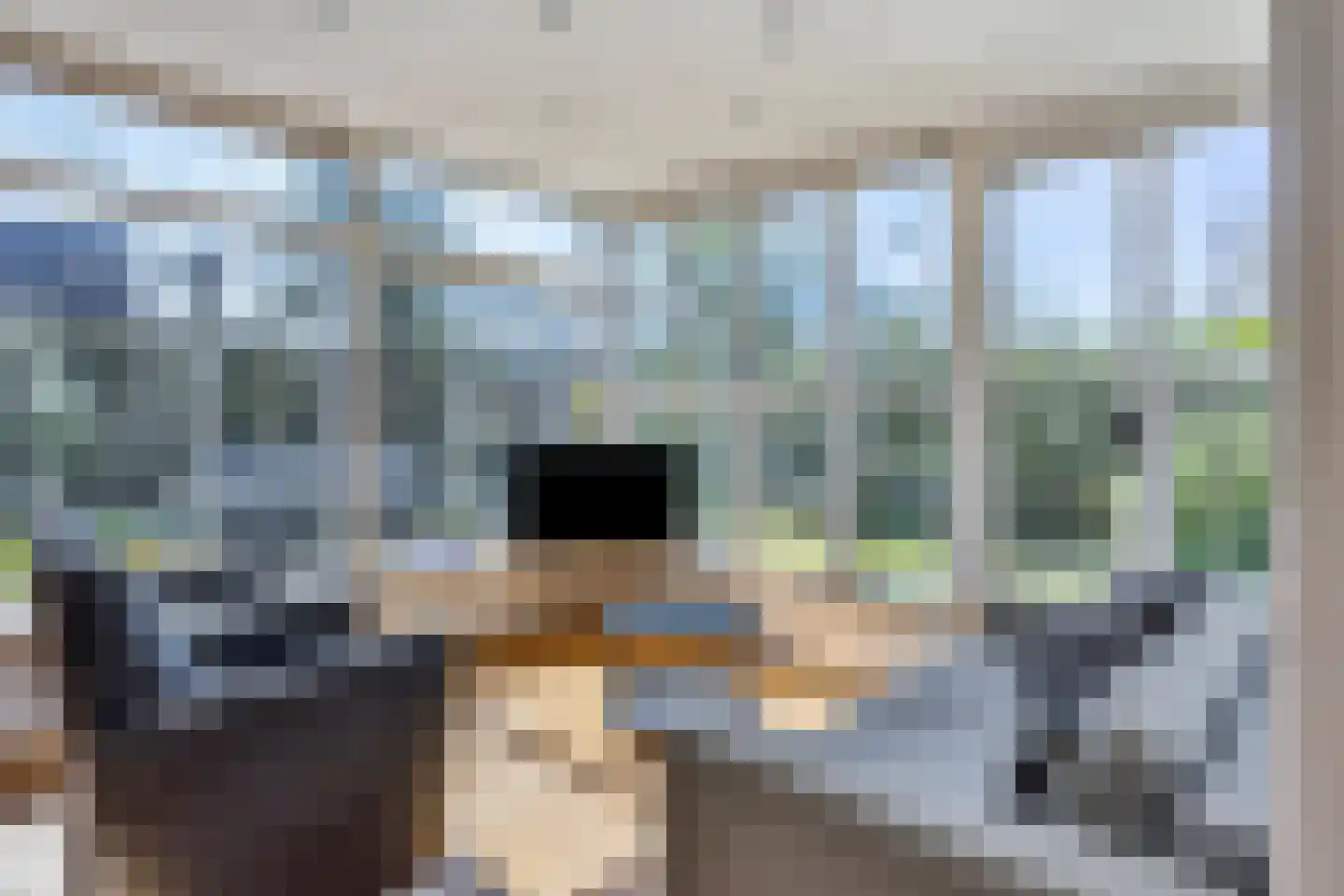 Joossesweg 81 Westkapelle thumbnail 13