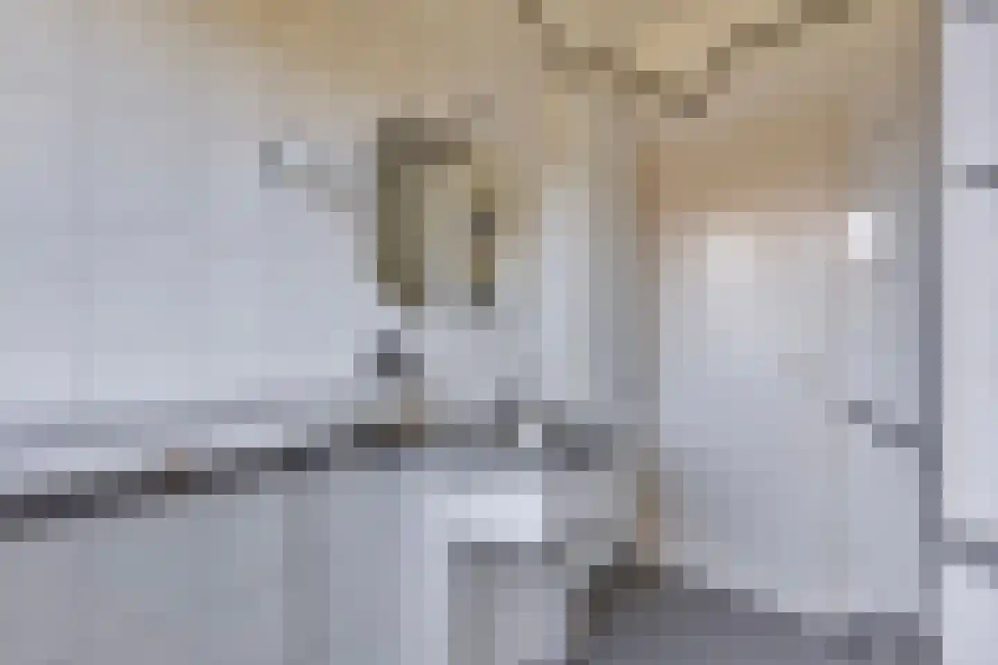 Joossesweg 81 Westkapelle thumbnail 26