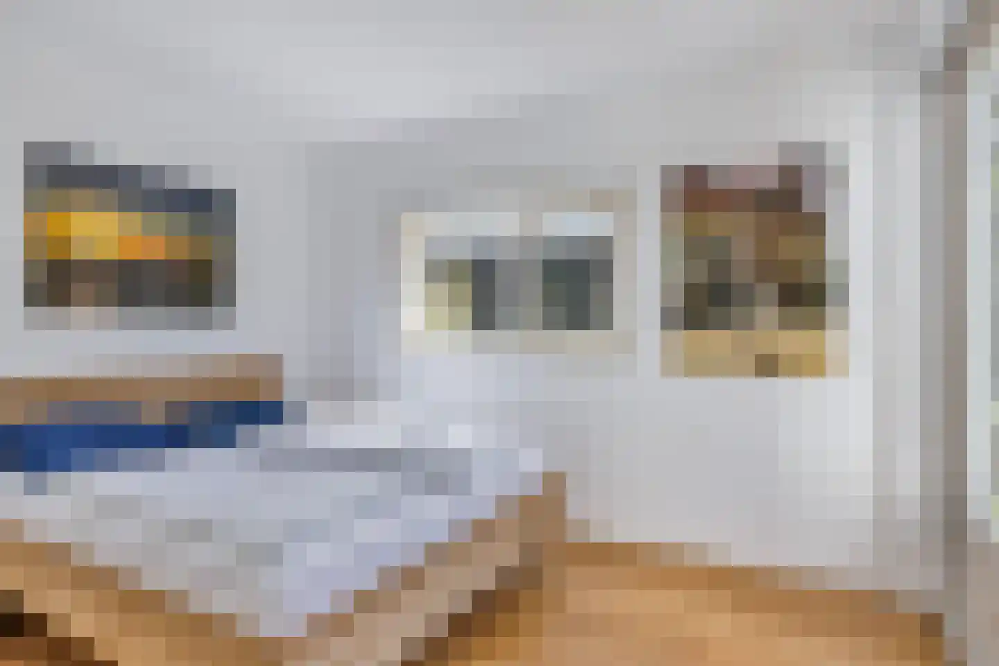 Joossesweg 81 Westkapelle thumbnail 29