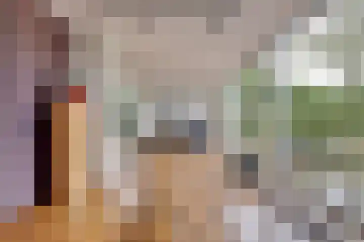 Joosstraat 31 's-Heer Arendskerke thumbnail 12