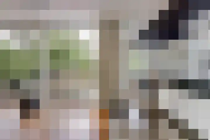 Joosstraat 31 's-Heer Arendskerke thumbnail 14