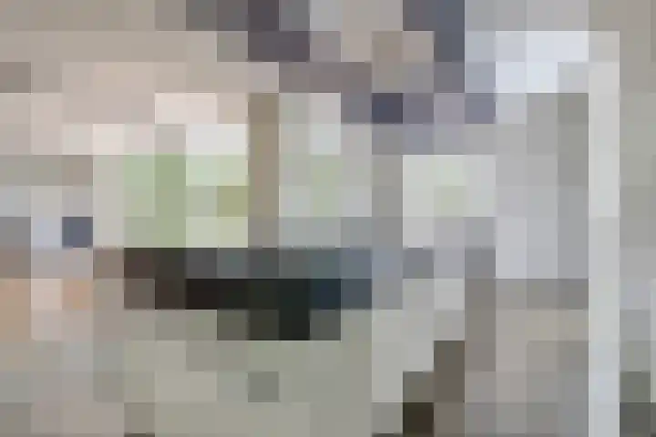 Joosstraat 31 's-Heer Arendskerke thumbnail 17