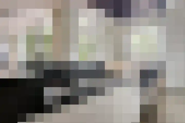 Joosstraat 31 's-Heer Arendskerke thumbnail 18
