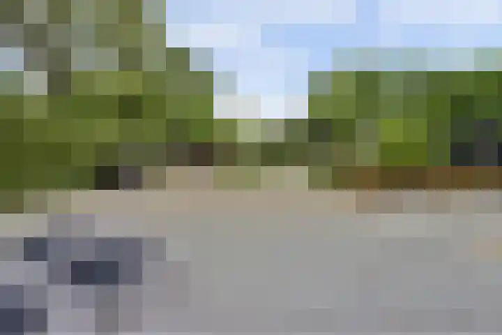 Joosstraat 31 's-Heer Arendskerke thumbnail 31