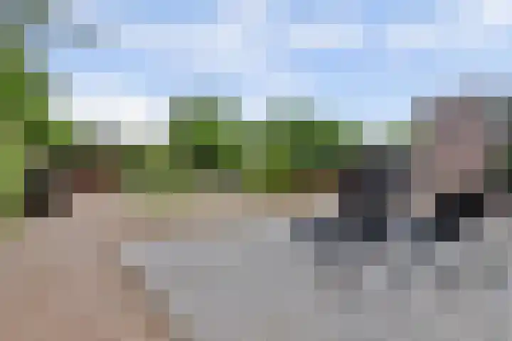 Joosstraat 31 's-Heer Arendskerke thumbnail 32