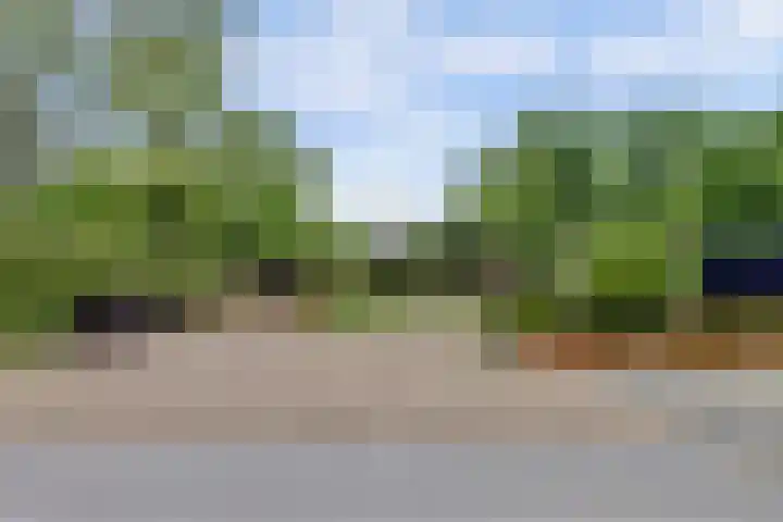 Joosstraat 31 's-Heer Arendskerke thumbnail 33