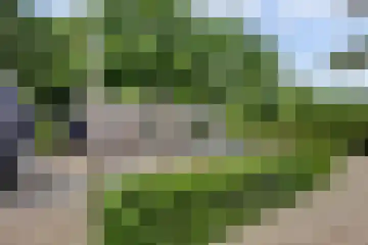 Joosstraat 31 's-Heer Arendskerke thumbnail 34