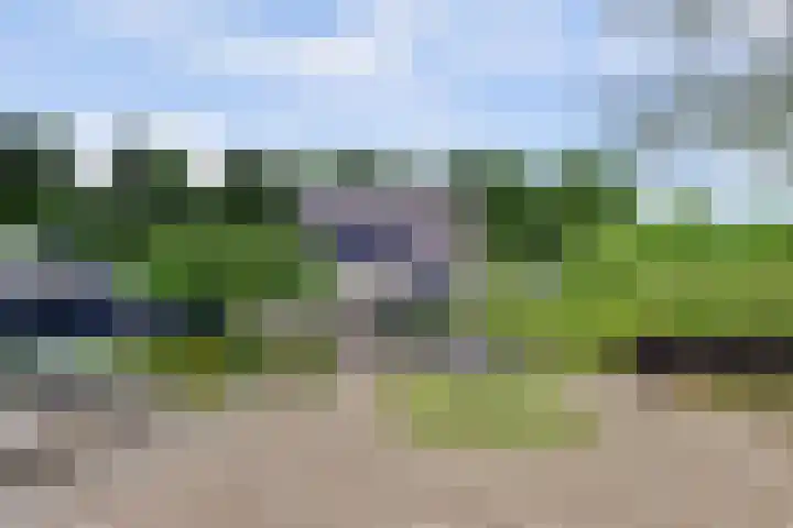 Joosstraat 31 's-Heer Arendskerke thumbnail 35