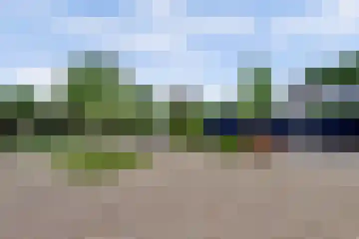 Joosstraat 31 's-Heer Arendskerke thumbnail 39