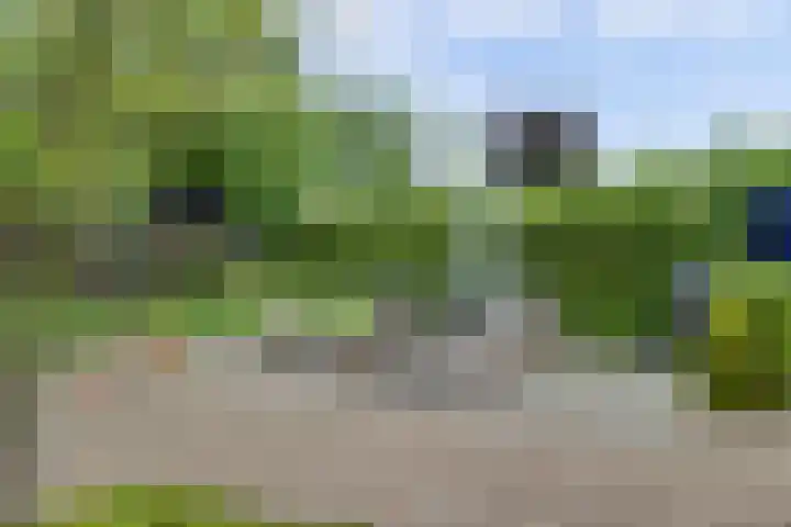 Joosstraat 31 's-Heer Arendskerke thumbnail 40