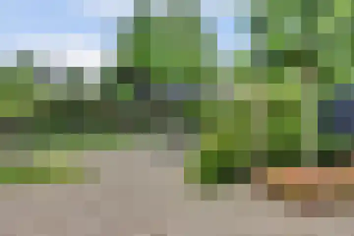 Joosstraat 31 's-Heer Arendskerke thumbnail 41