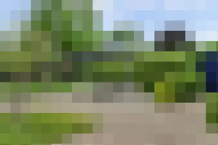Joosstraat 31 's-Heer Arendskerke thumbnail 42
