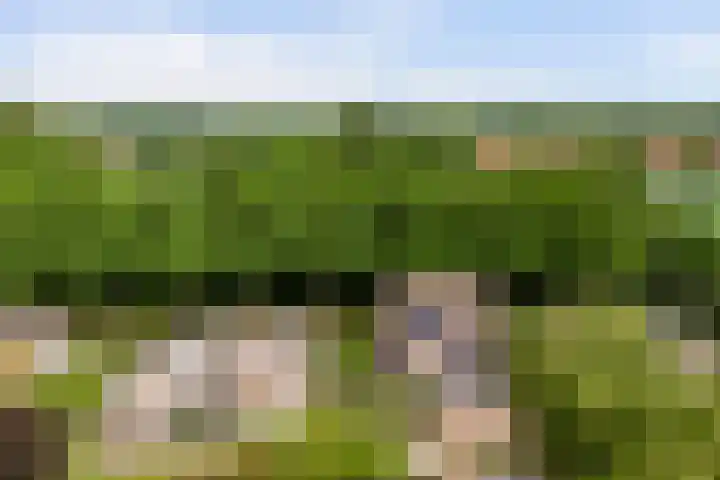Joosstraat 31 's-Heer Arendskerke thumbnail 43