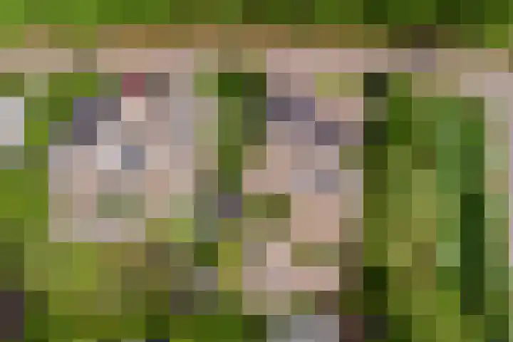 Joosstraat 31 's-Heer Arendskerke thumbnail 44