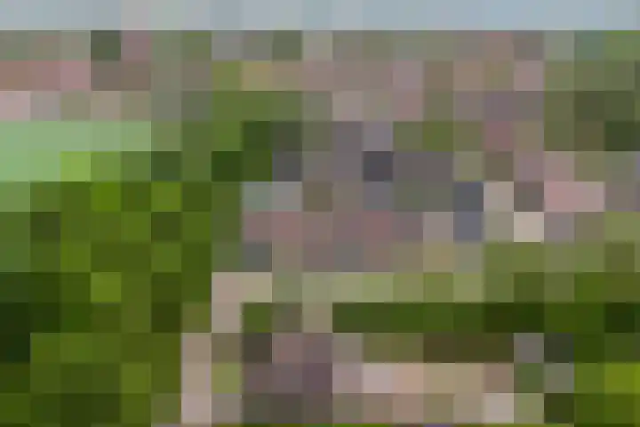 Joosstraat 31 's-Heer Arendskerke thumbnail 47