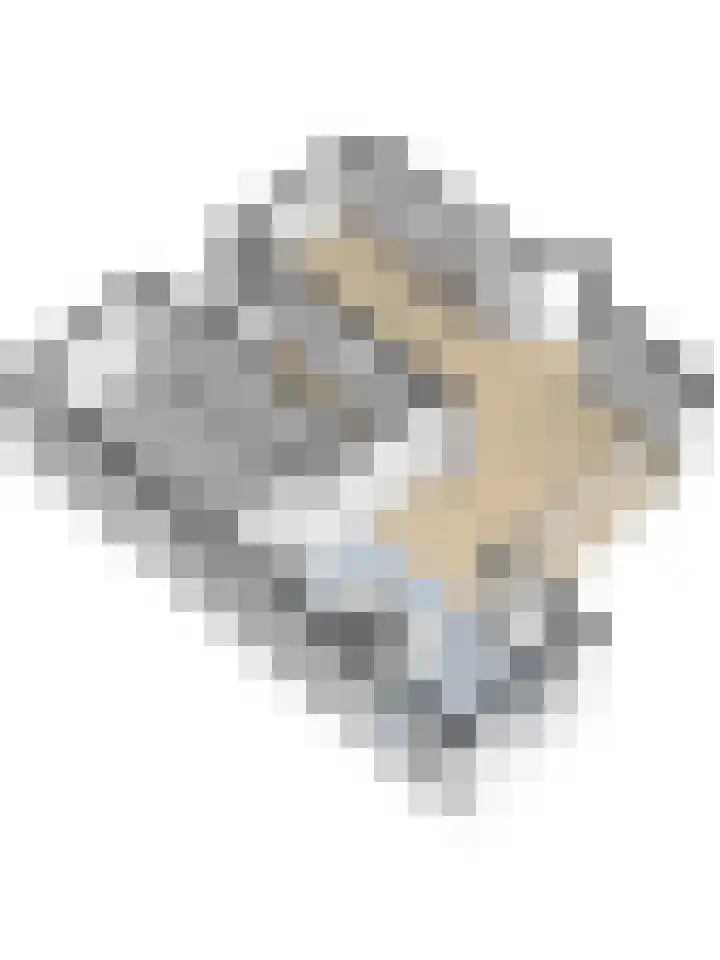 Joosstraat 31 's-Heer Arendskerke thumbnail 54