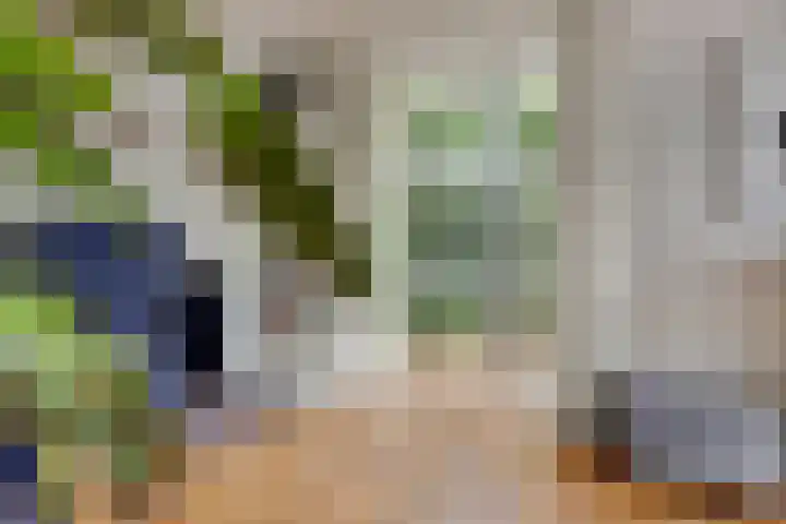 Joosstraat 31 's-Heer Arendskerke thumbnail 8
