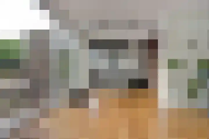 Joosstraat 31 's-Heer Arendskerke thumbnail 9