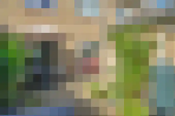 Joost Banckertstraat 4 Huizen thumbnail 21