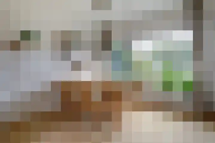 Joost Banckertstraat 7 Huizen thumbnail 9