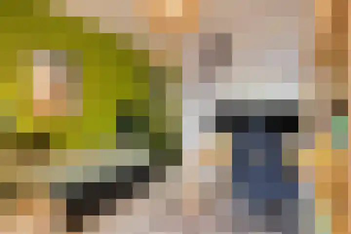 Joost Beeldsnijderweg 1 Deventer thumbnail 14