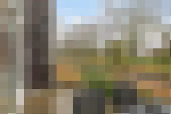 Joost Beeldsnijderweg 1 Deventer thumbnail 21